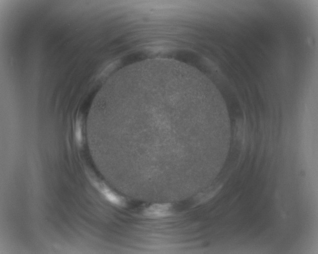 X0000082940138200702011315