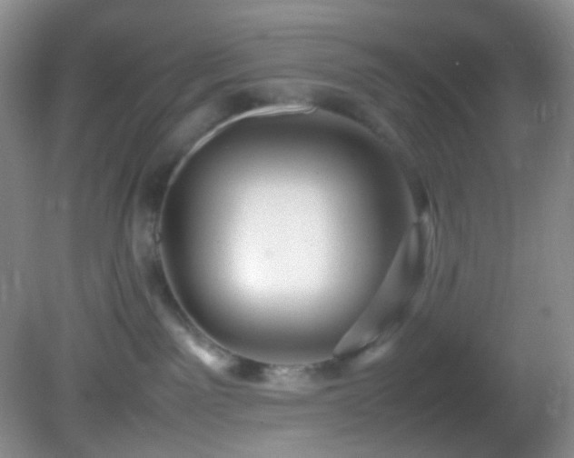 X0000082940141200702011315