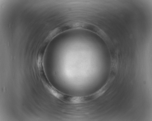 X0000082940142200702011315