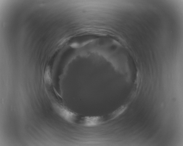 X0000082940143200702011315