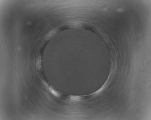 X0000082940144200702011315