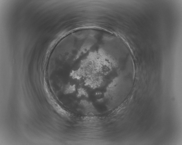 X0000082940145200702011314