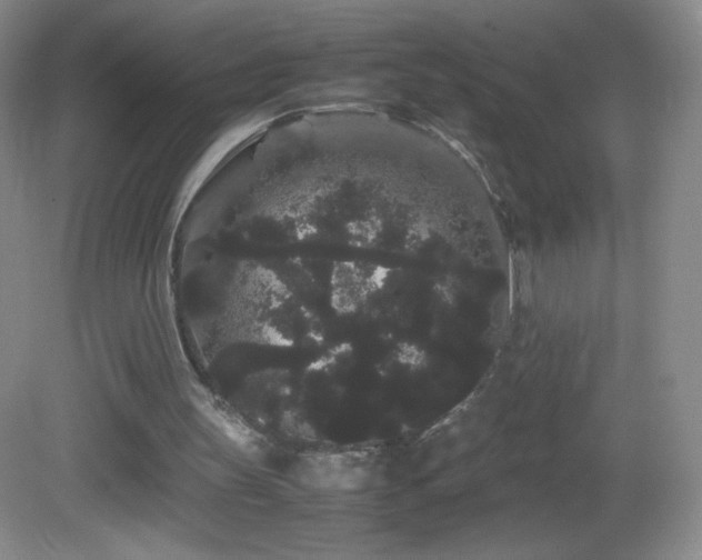 X0000082940147200702011314