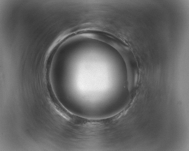 X0000082940150200702011314