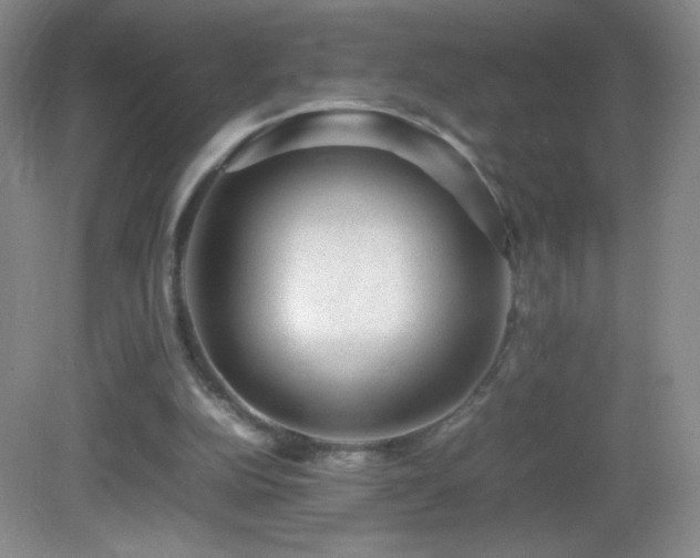 X0000082940152200702011315
