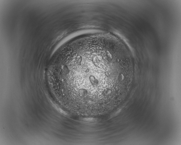 X0000082940153200702011315