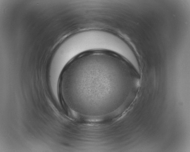 X0000082940154200702011315