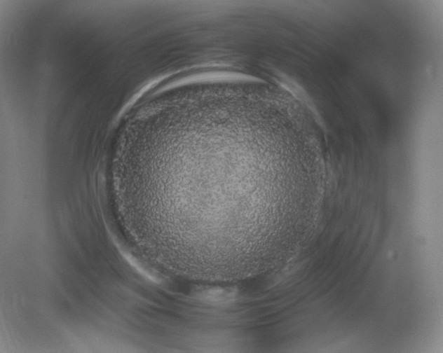 X0000082940155200702011315