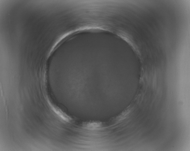 X0000082940156200702011315