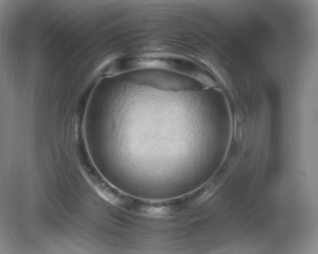 X0000082940157200702011315