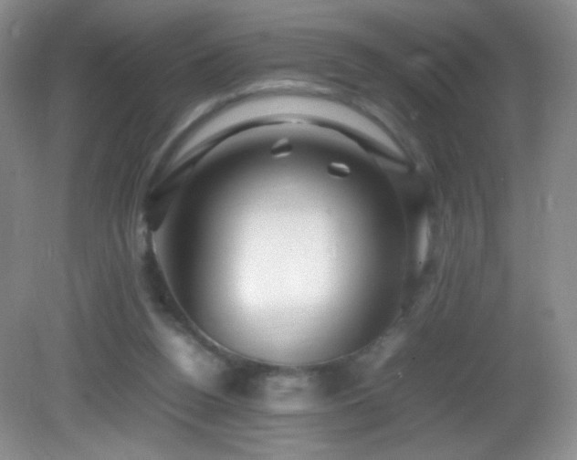 X0000082940160200702011315