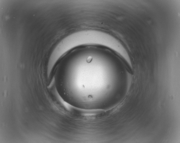 X0000082940162200702011315