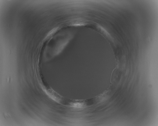 X0000082940163200702011315