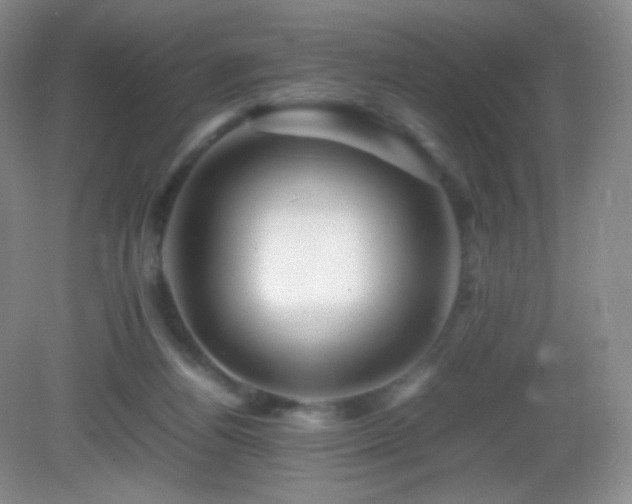 X0000082940164200702011315