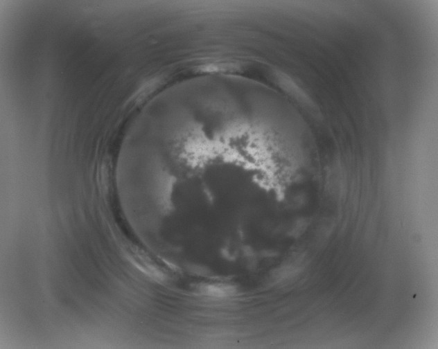 X0000082940165200702011315