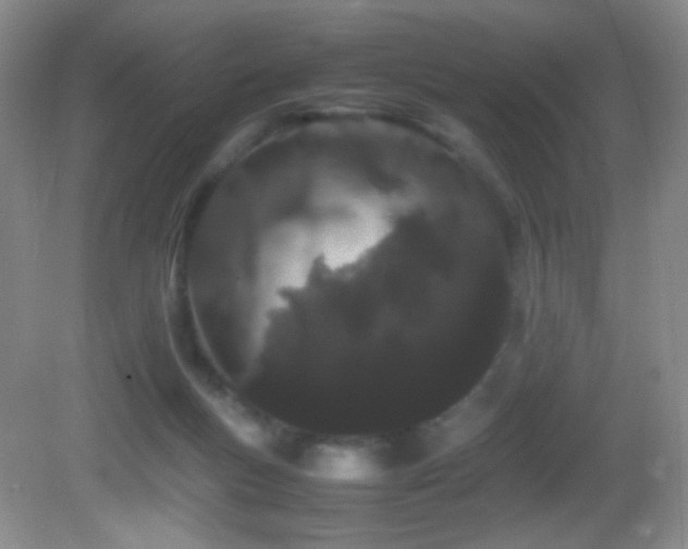 X0000082940167200702011315