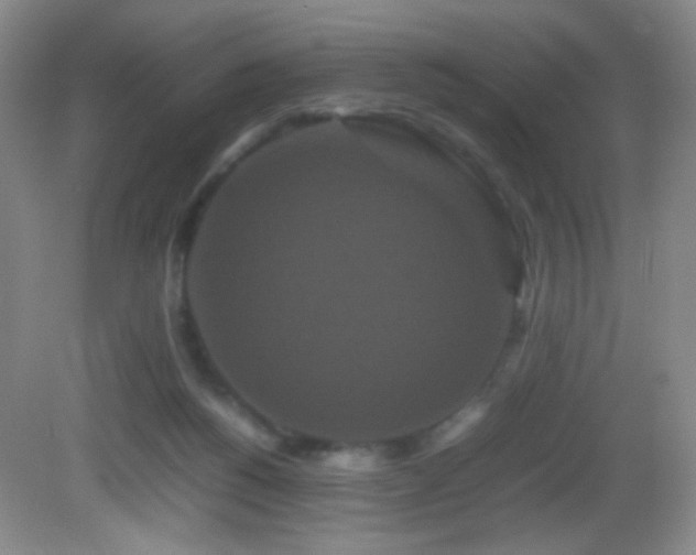 X0000082940168200702011315