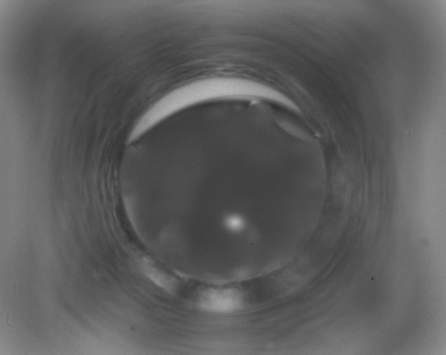 X0000082940169200702011315