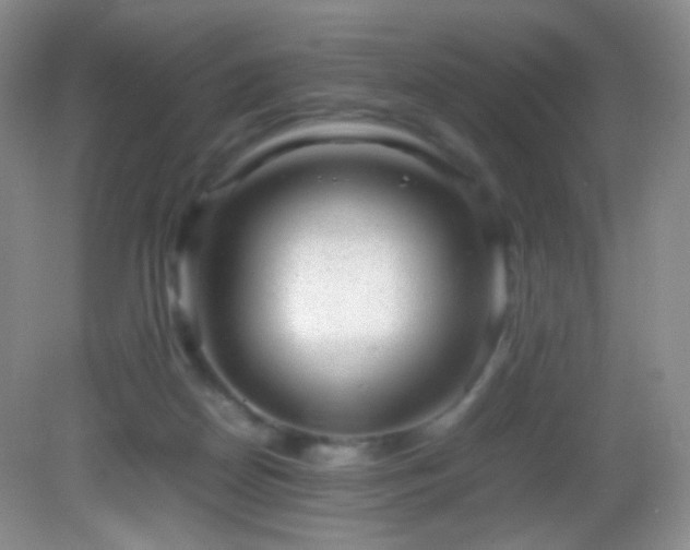 X0000082940170200702011315