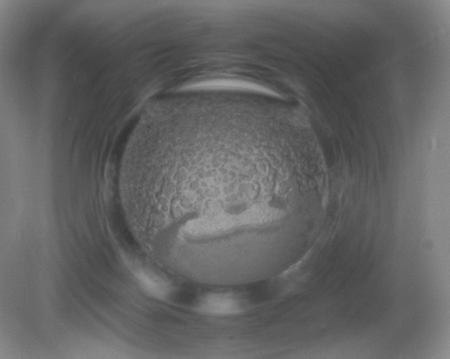 X0000082940171200702011315