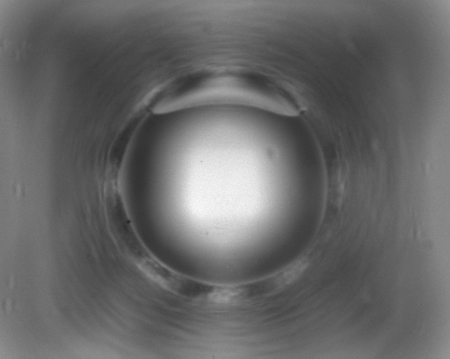 X0000082940172200702011315