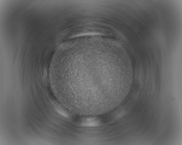 X0000082940173200702011315