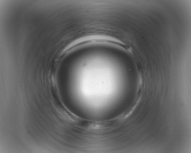 X0000082940174200702011315
