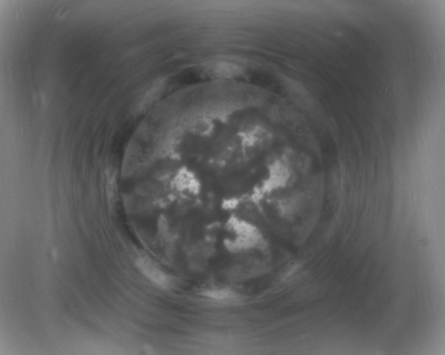 X0000082940177200702011315