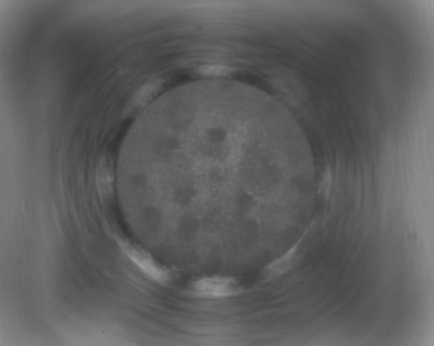 X0000082940179200702011315