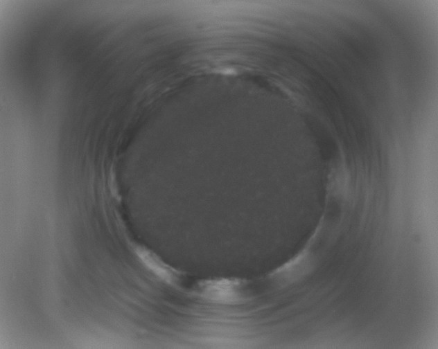 X0000082940182200702011315