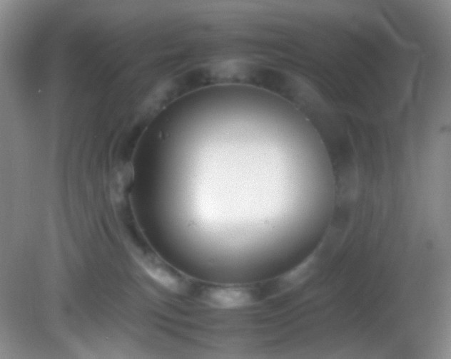 X0000082940183200702011315