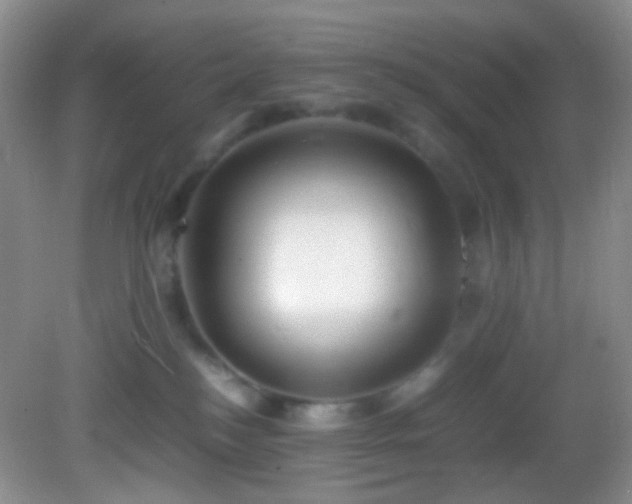 X0000082940184200702011315