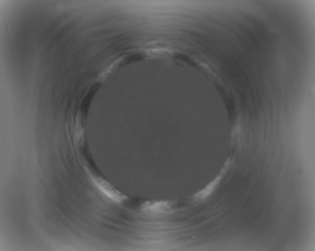 X0000082940186200702011315