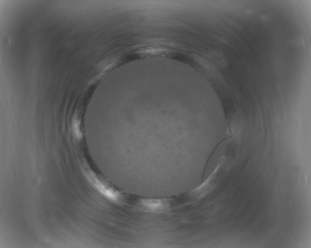 X0000082940187200702011315