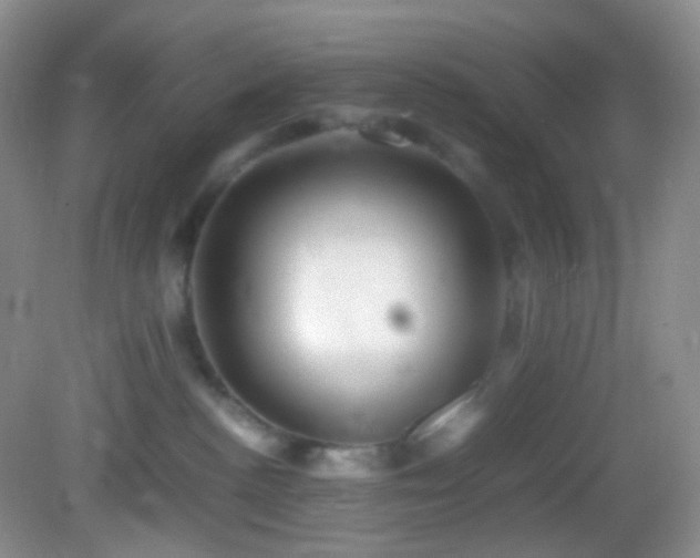 X0000082940188200702011315