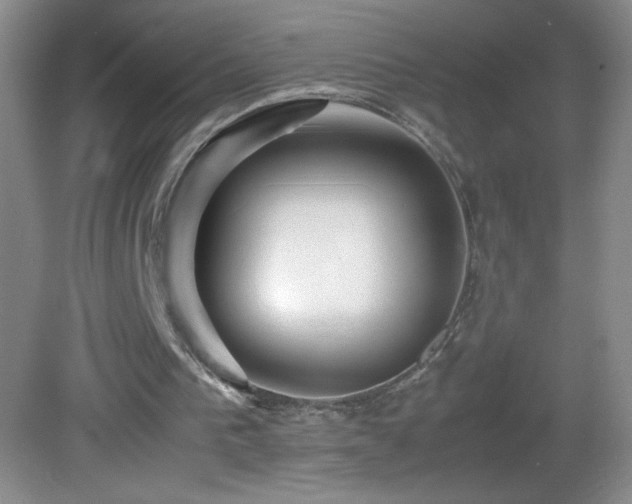 X0000082940193200702011314