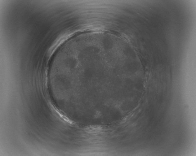 X0000082940194200702011314
