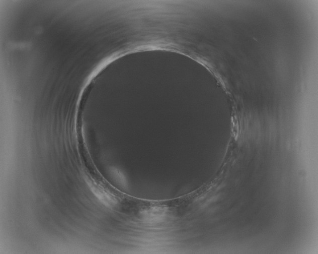 X0000082940196200702011314