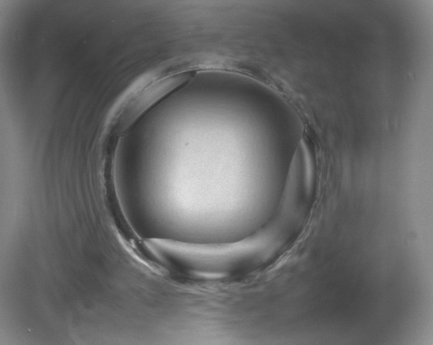 X0000082940197200702011314