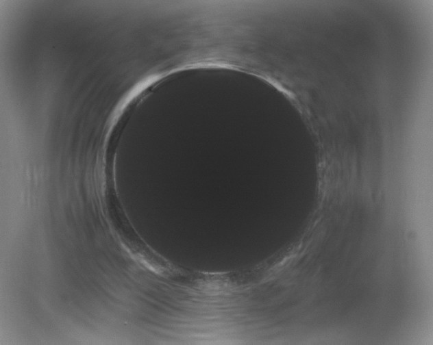 X0000082940200200702011314