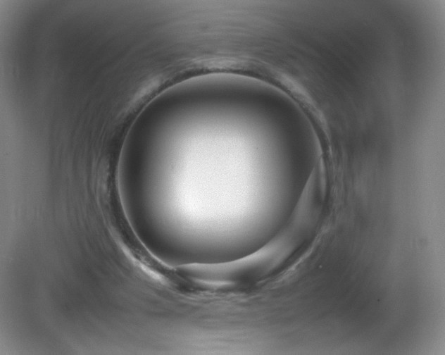 X0000082940201200702011314