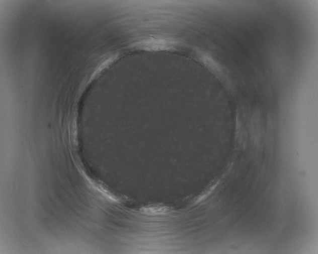 X0000082940202200702011314