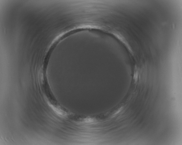 X0000082940204200702011314