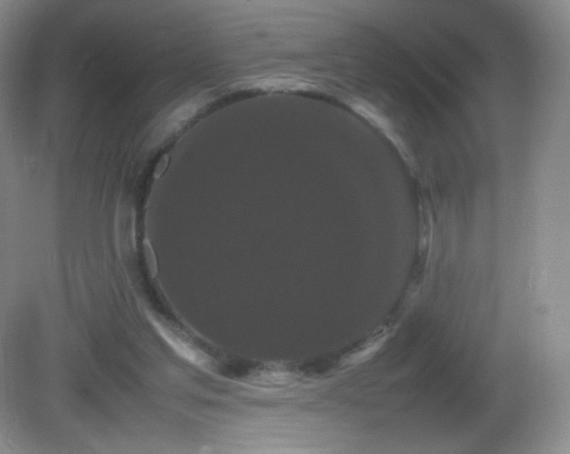 X0000082940205200702011314