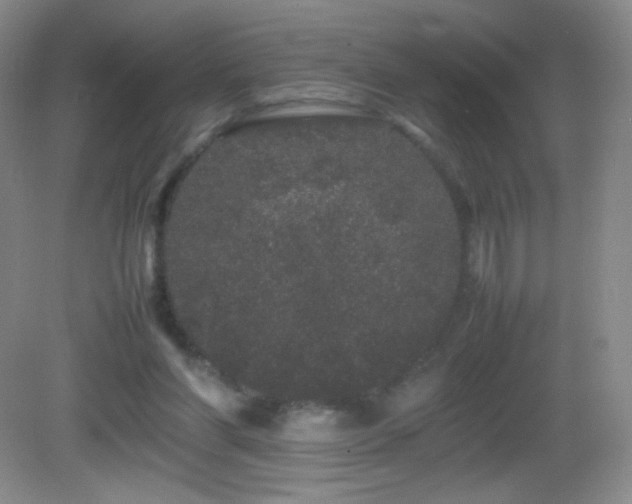 X0000082940206200702011314