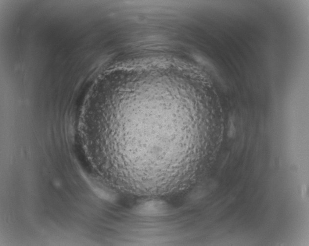 X0000082940210200702011314