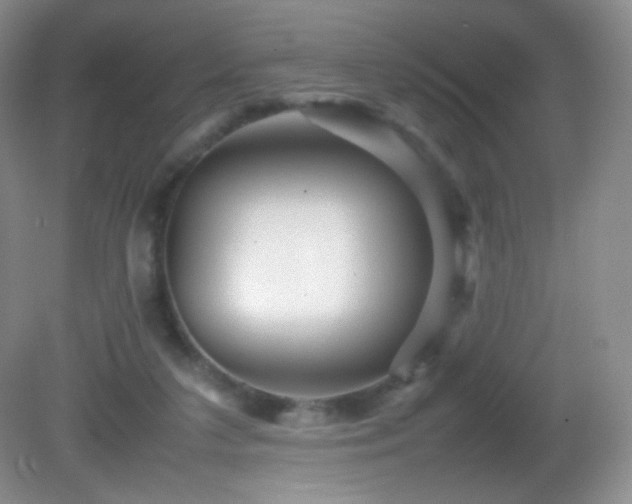 X0000082940211200702011314