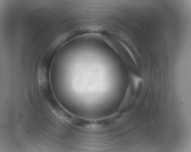 X0000082940212200702011314