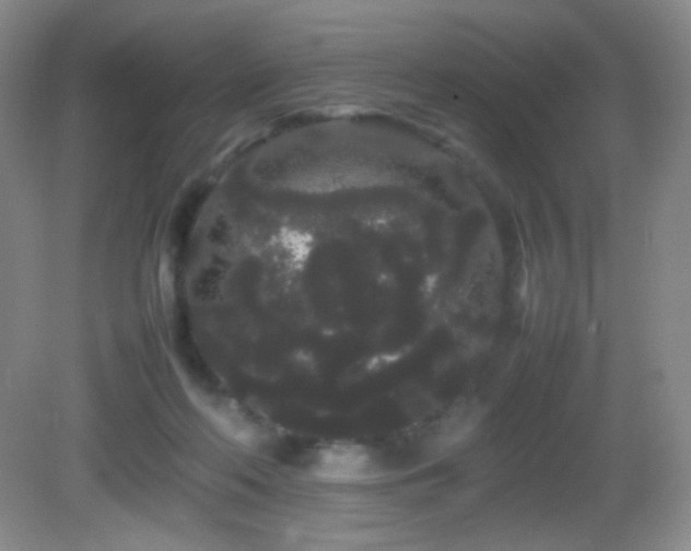 X0000082940214200702011314