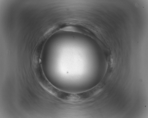 X0000082940215200702011314